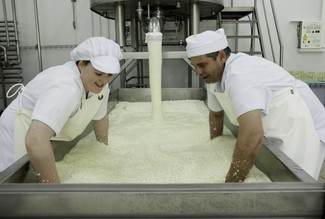 Una quesería de ciudad real se sitúa en la élite mundial del queso