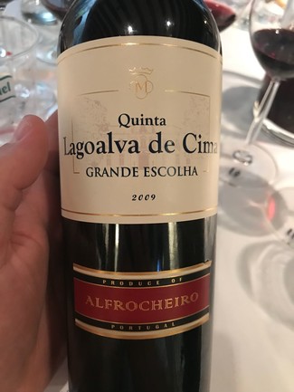 Quinta Lagoalva de Cima 2009 (Vinho Regional Tejo) 2009