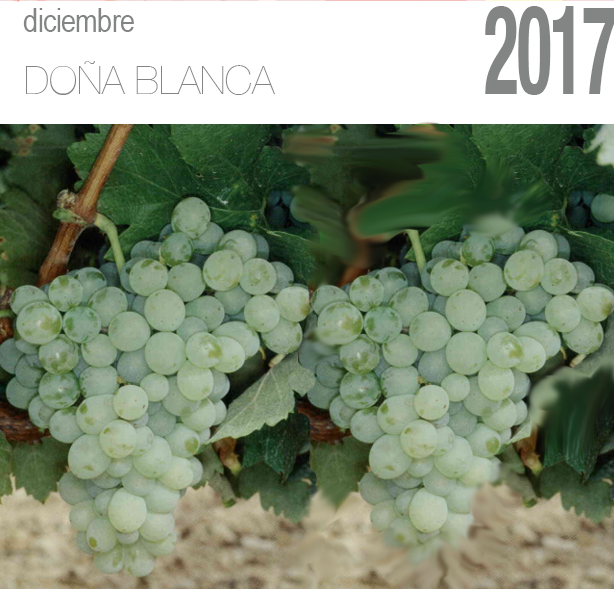 Diciembre, semana blanca con Doña Blanca
