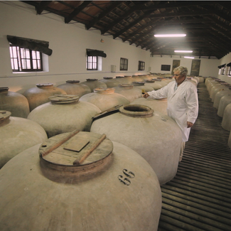 Bodega de Tinajas Grande Santa María