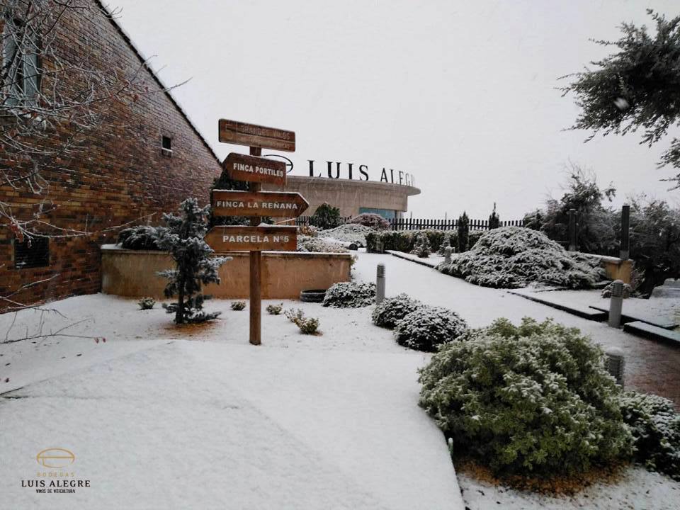 Luis Landero gana el “VI Premio Don Luis a la Excelencia Literaria 2017”, de Bodegas Luis Alegre