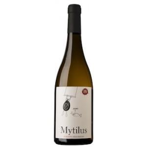 Mytilus 2015