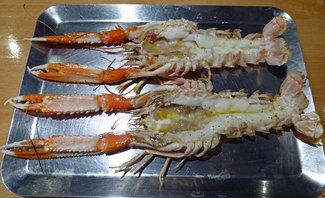 Cigalas del Cap de Creus