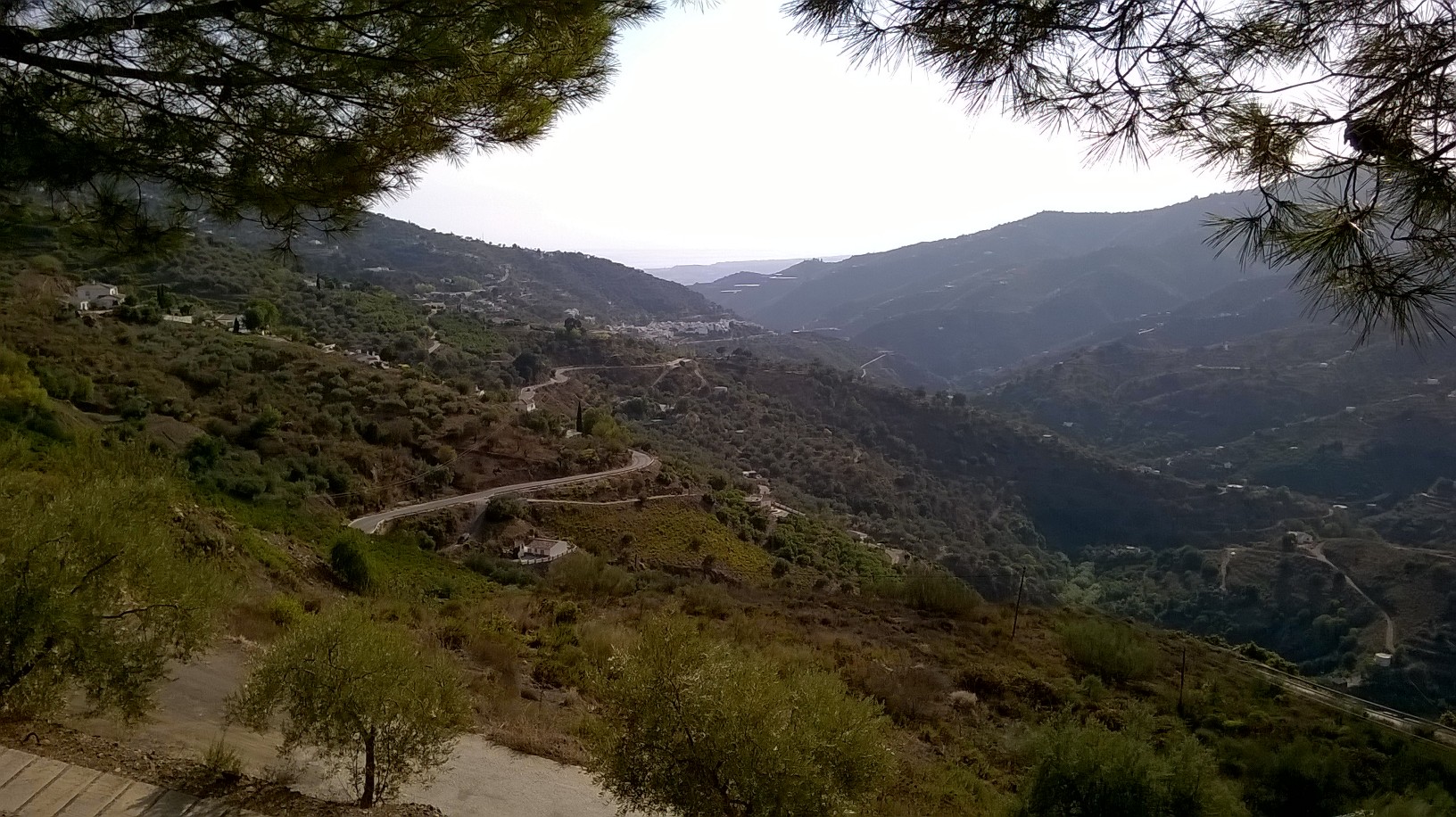 Catados ambos 2: Ariyanas blanco y rosado 2016