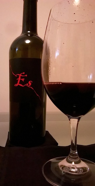 Gianfranco Fino "ES" 2010