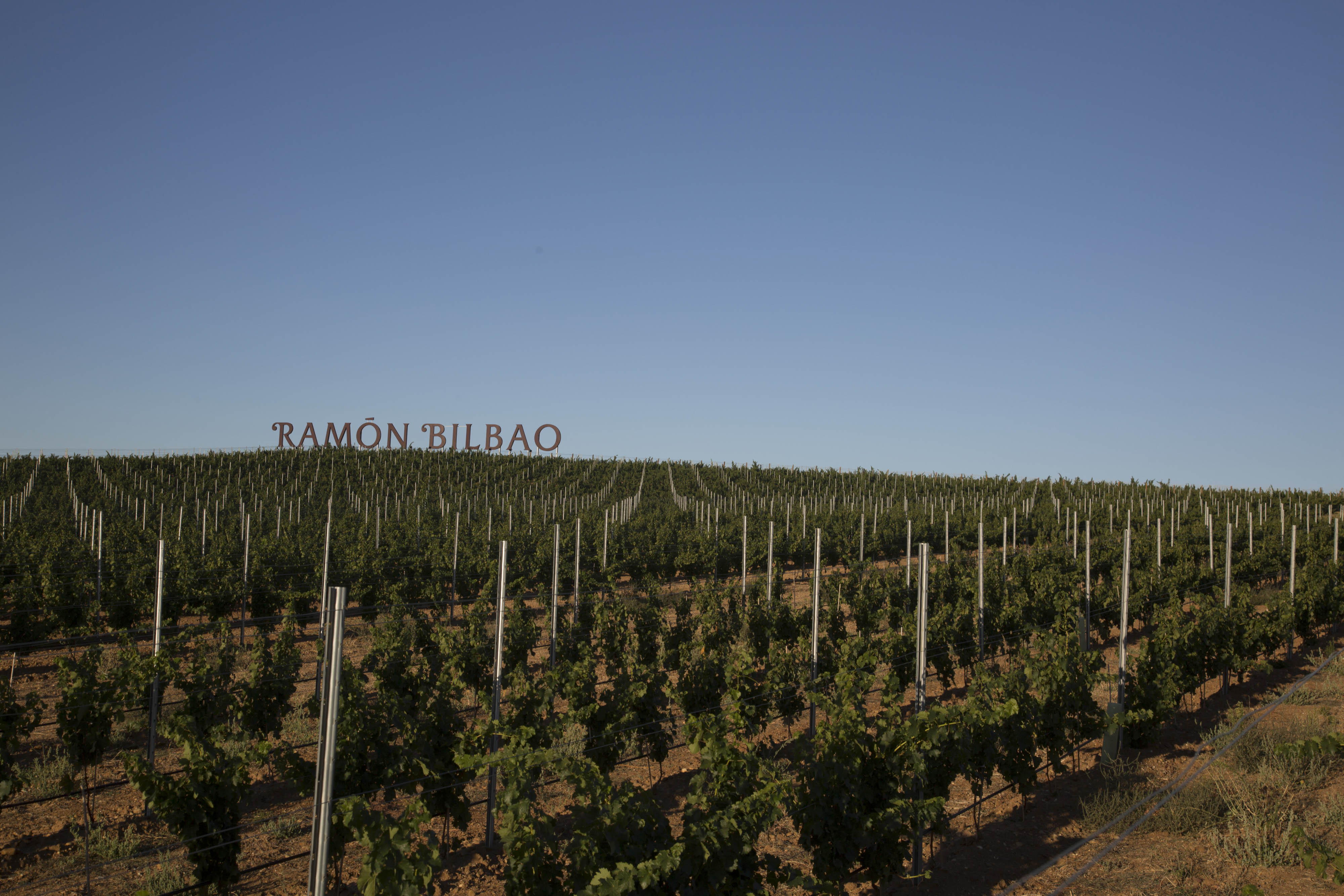 Ramón Bilbao, primera bodega en obtener el WFCP