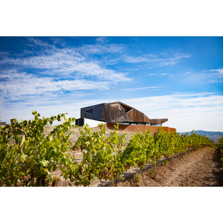 Viñedos de Aroa Bodegas