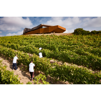 Viñedos de Aroa Bodegas