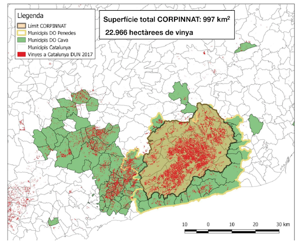 Mapa vin%cc%83as col