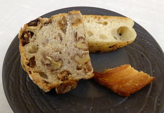Panes de Triticum
