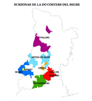 Costers del Segre renueva su imagen