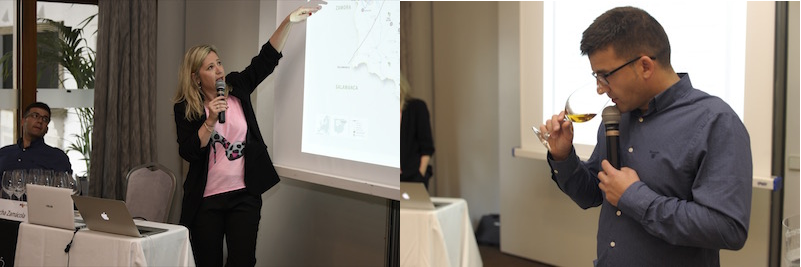 La D.O. Rueda: Diversidad y Autenticidad en la Experiencia Verema Marbella