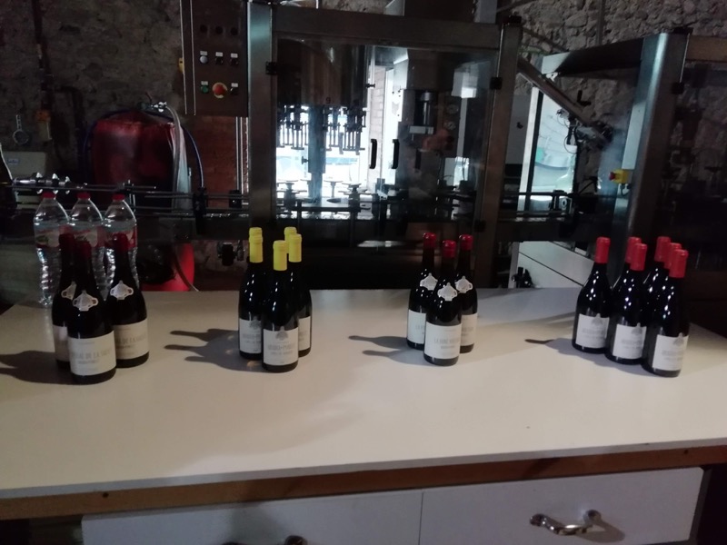cata poblet