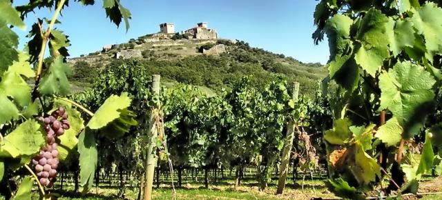 Feria del vino de Monterrei