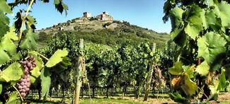 Feria del vino de Monterrei