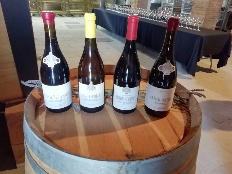 Encuentro de Foreros Grupo Codorníu: Abadia de Poblet, en el reino de la Trepat.