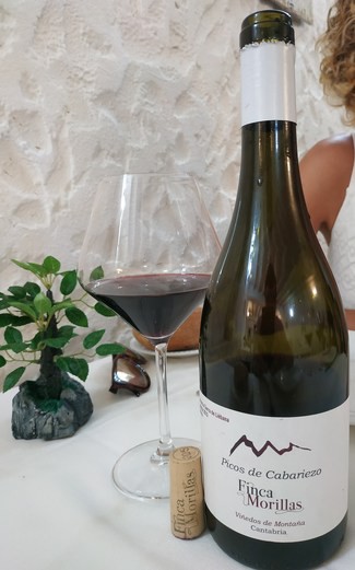 Finca Morillas 2015 (VT Liébana)