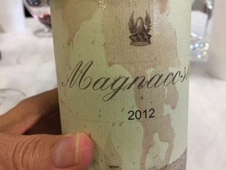 TENUTA DI TRINORO MAGNACOSTA 2012
