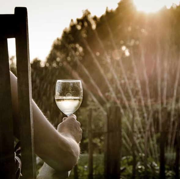 Vinos Rueda