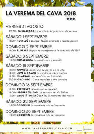 Once bodegas de Cava abren sus puertas durante la vendimia. Ampliamos programa