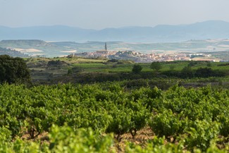 Las Pisadas 2015: paisaje e historia de Labastida