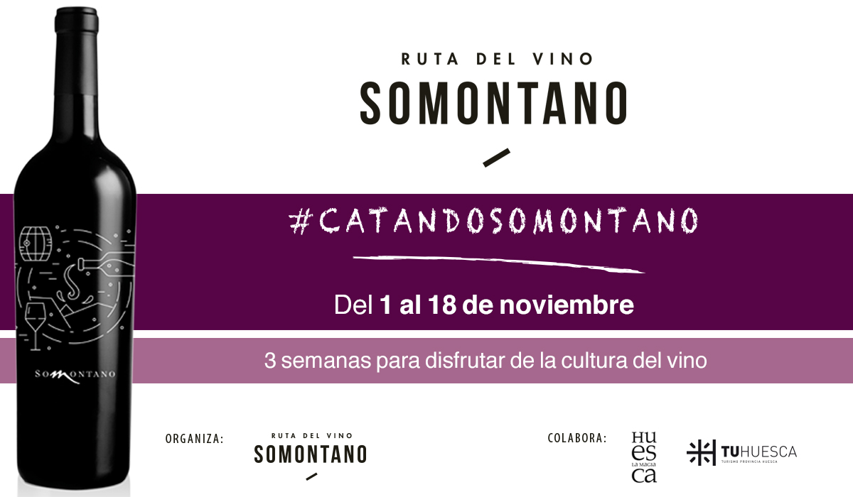 Catandosomontano: 5 años potenciando la cultura del vino