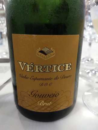 Vertice Gouveio 2008