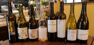 Primera cata del panel de Cata Verema Madrid