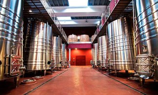 SOMMOS, algo más que una Bodega