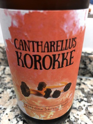 Cantharellus Korokke mushroom saison beer