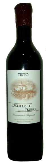 Castrillo de Duero 2014