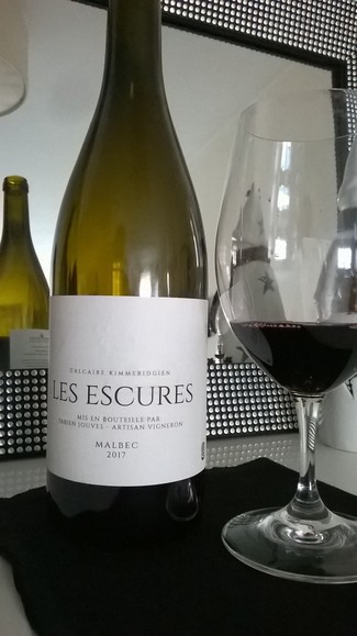 Fabien Jouves "Les Escures" 2017