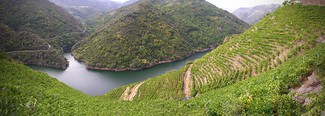 La Ribeira Sacra ya es Bien de Interés Cultural