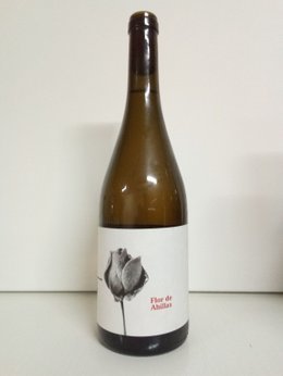 Flor de Ahillas 2011