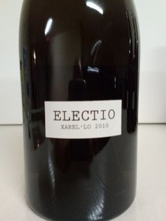 Electio 2010
