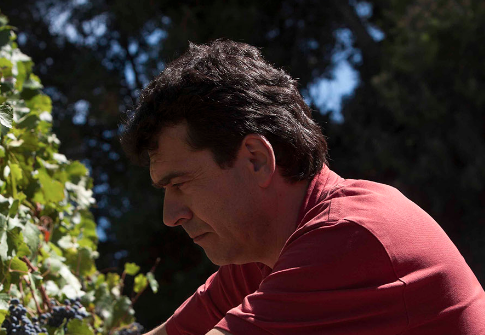 Conoce mejor a los Personajes del mundo del vino nominados a los Premios Verema del año 2018