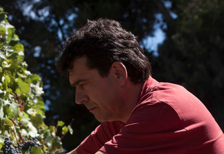 Conoce mejor a los Personajes del mundo del vino nominados a los Premios Verema del año 2018