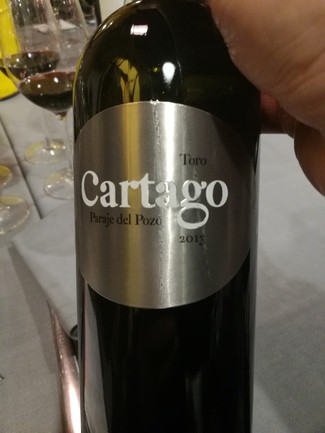 Cartago Paraje del Pozo 2013