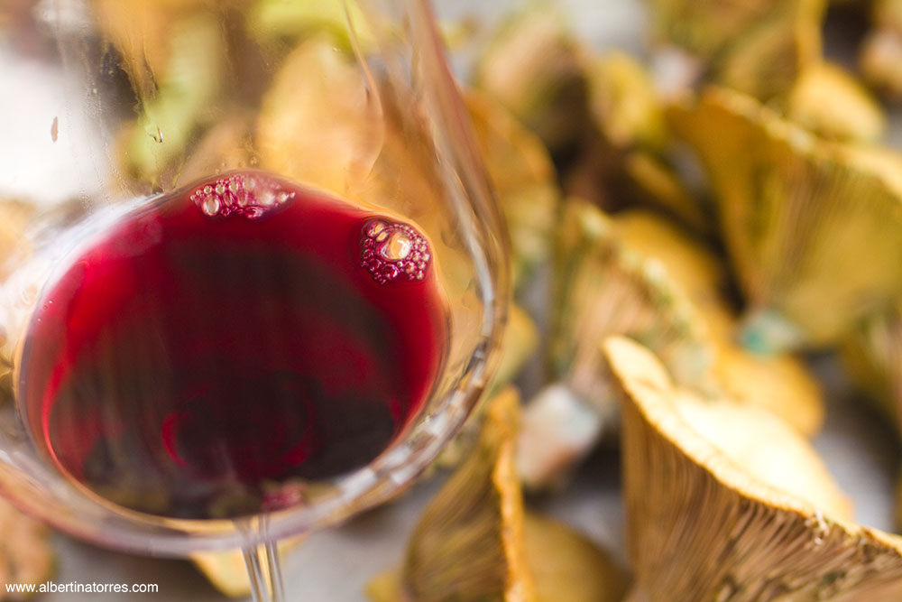 Vino Tinto Copa