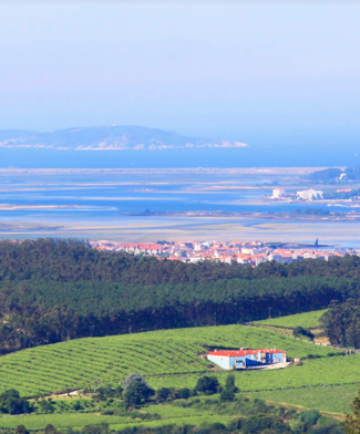 Bodega Granbzán con la Ría de Arousa de fondo