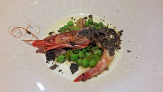 Guisante lágrima con gamba y trufa tuber melanosporum.