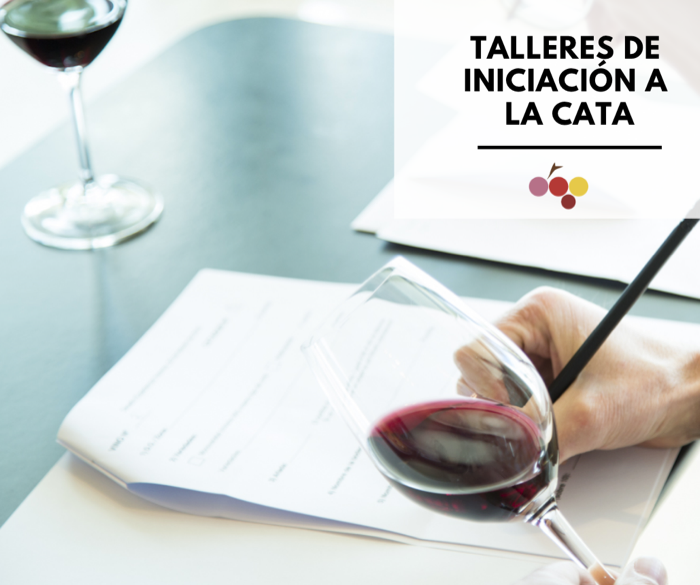 Taller de iniciación a la cata de vinos