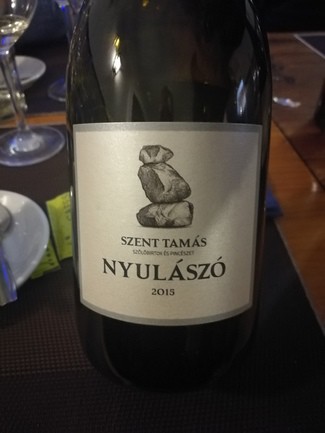 Szent Tamas Nyulaszo 2015