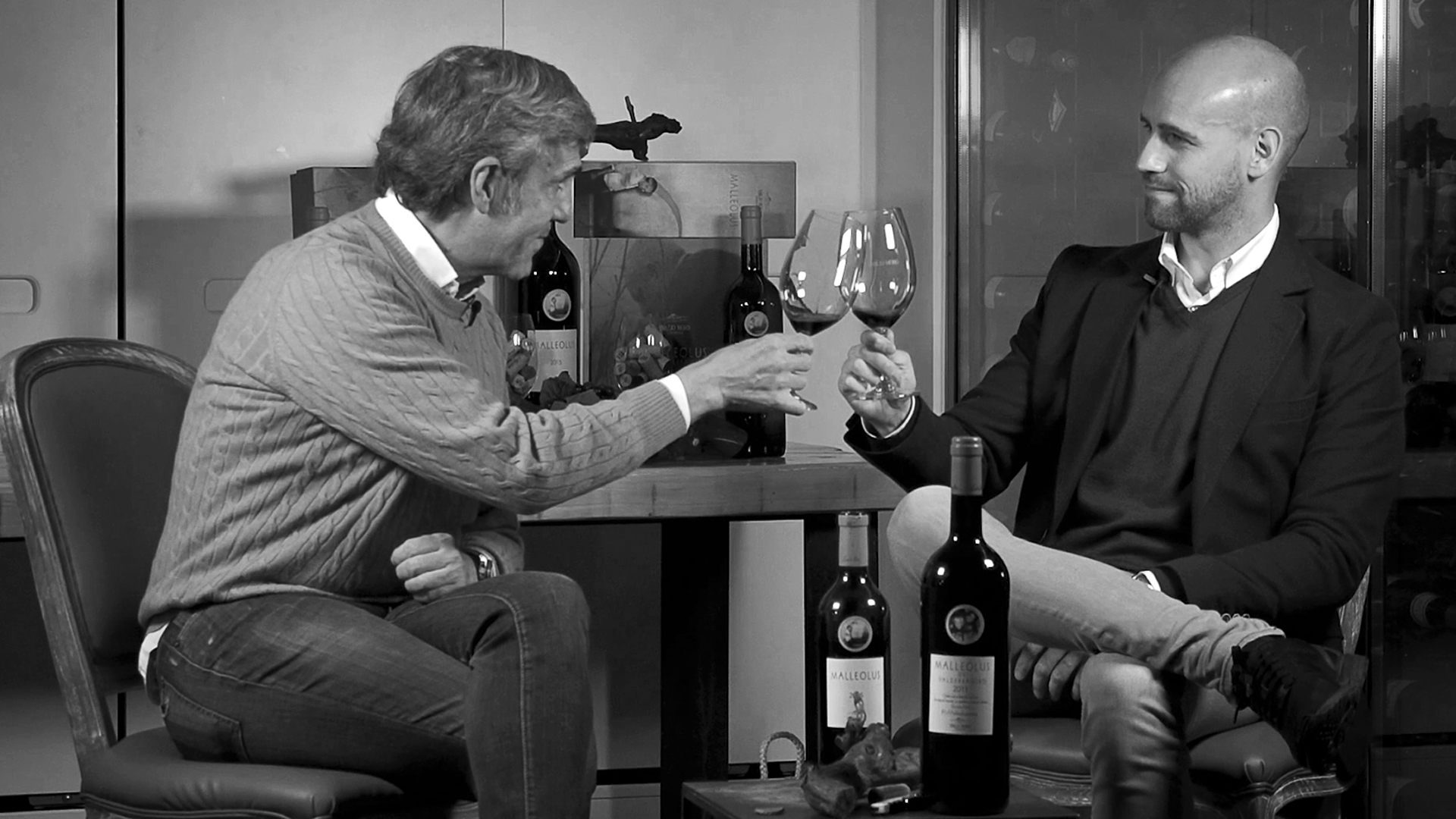 Malleolus, la niña de los ojos de Bodegas Emilio Moro, cumple 20 años