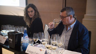 Consejo Regulador Premiado en Verema: DO Rueda, presentó once vinos en Experiencia Verema Valencia