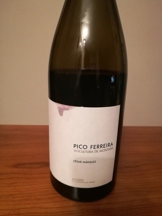 Pico Ferreira 2015