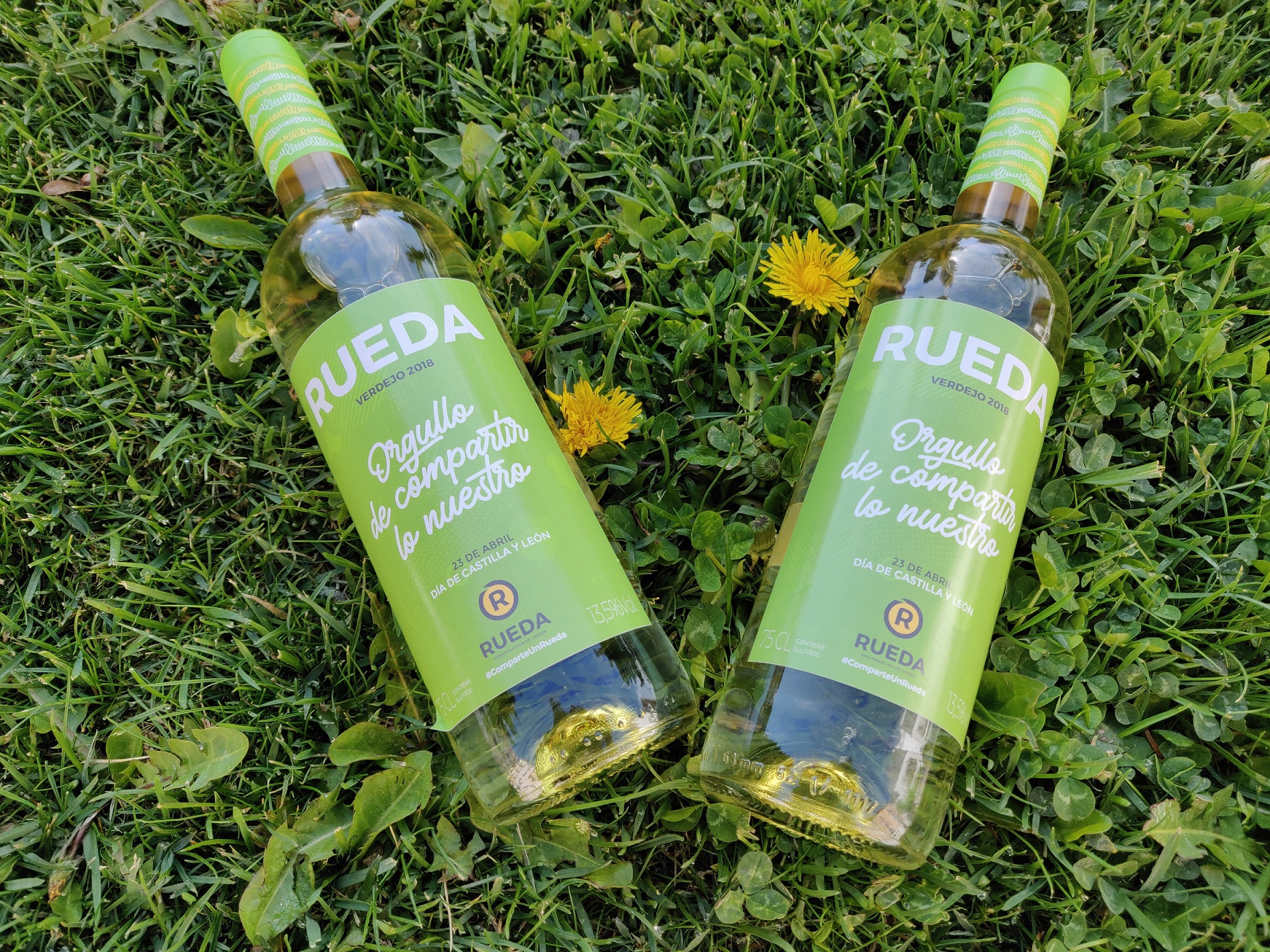 La D.O. Rueda lanza una botella edición especial con motivo del día de Castilla y León.