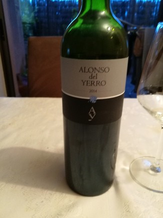 Alonso del Yerro 2014