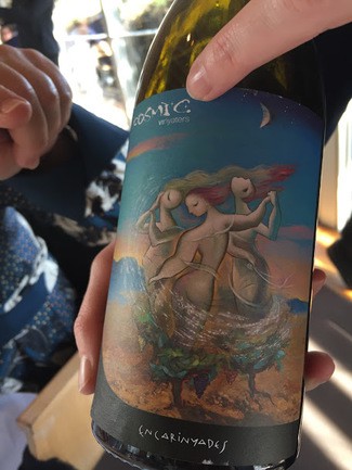 Cosmic Encarinyades 2017