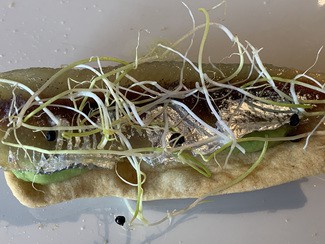 Tosta de caballa con guacamole